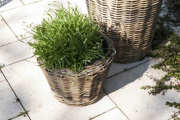 Modny i wygodny kosz na taras